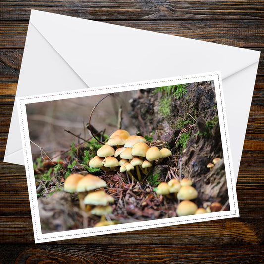 Sulphur Tuft Fungi Greeting Card | Botanical Nature Note Card | Wild Mushroom Gift | Forest Floor Art | Eco-Friendly Stationery