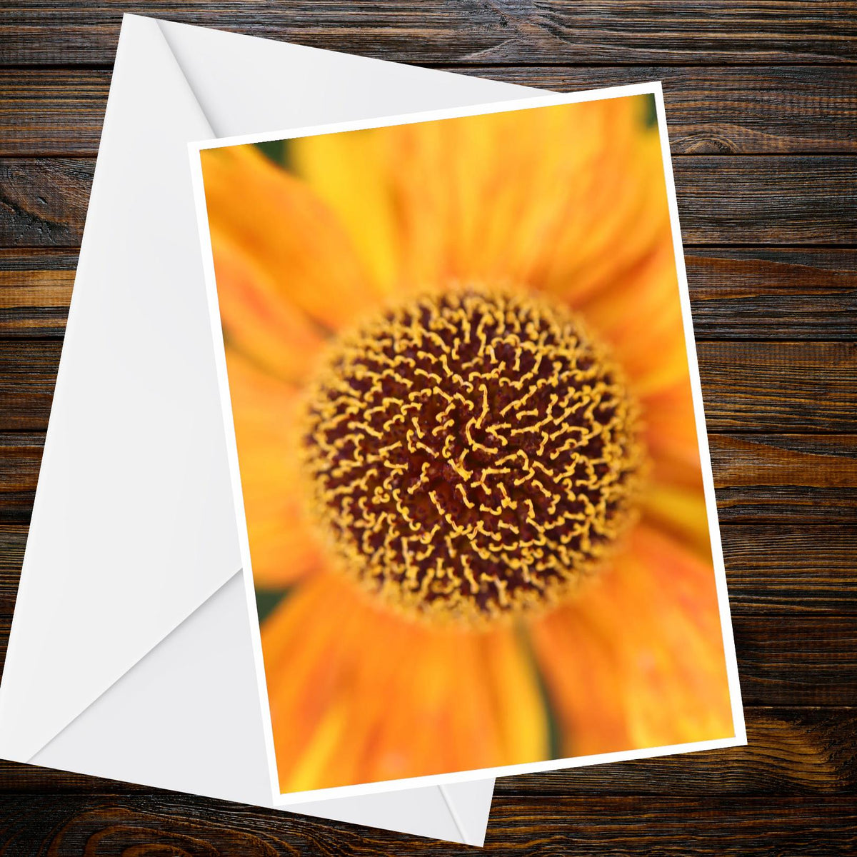 Orange Helenium Daisy A6 Card – Macro Flower Photo, Blank Greeting, Summer Collection