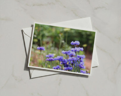 Cornflower Blue Wildflower Card, Botanical Garden Greeting Card, Floral Nature Card