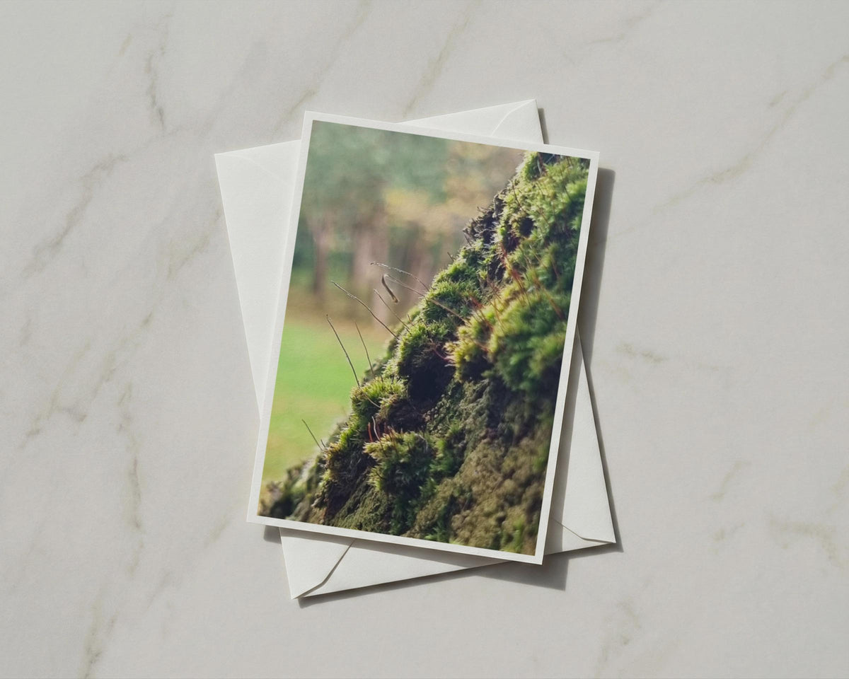 Mossy Tree Bark Card, Forest Macro Nature Card, Green Moss woodland greeting card