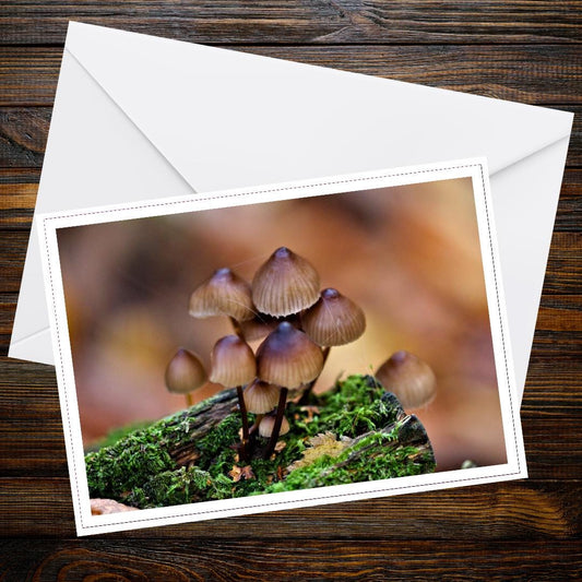 Fungi Greeting Card, Woodland Mushroom Art, Botanical Illustration, Nature Lover Gift, Forest Fungi Stationery, Eco Friendly Card