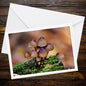 Fungi Greeting Card, Woodland Mushroom Art, Botanical Illustration, Nature Lover Gift, Forest Fungi Stationery, Eco Friendly Card