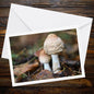 Stinking dapperling greeting card, botanical fungi art, woodland mushroom illustration, nature-inspired eco-friendly paper, whimsical forest