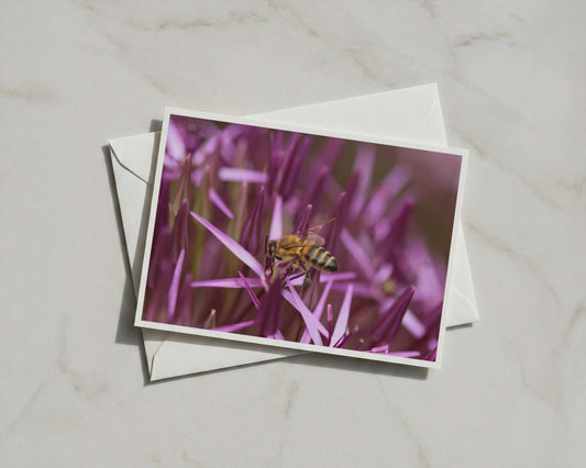 Honey Bee on Allium Card, Purple Wildlife Photography, Bee Lover Gift, A6 Card