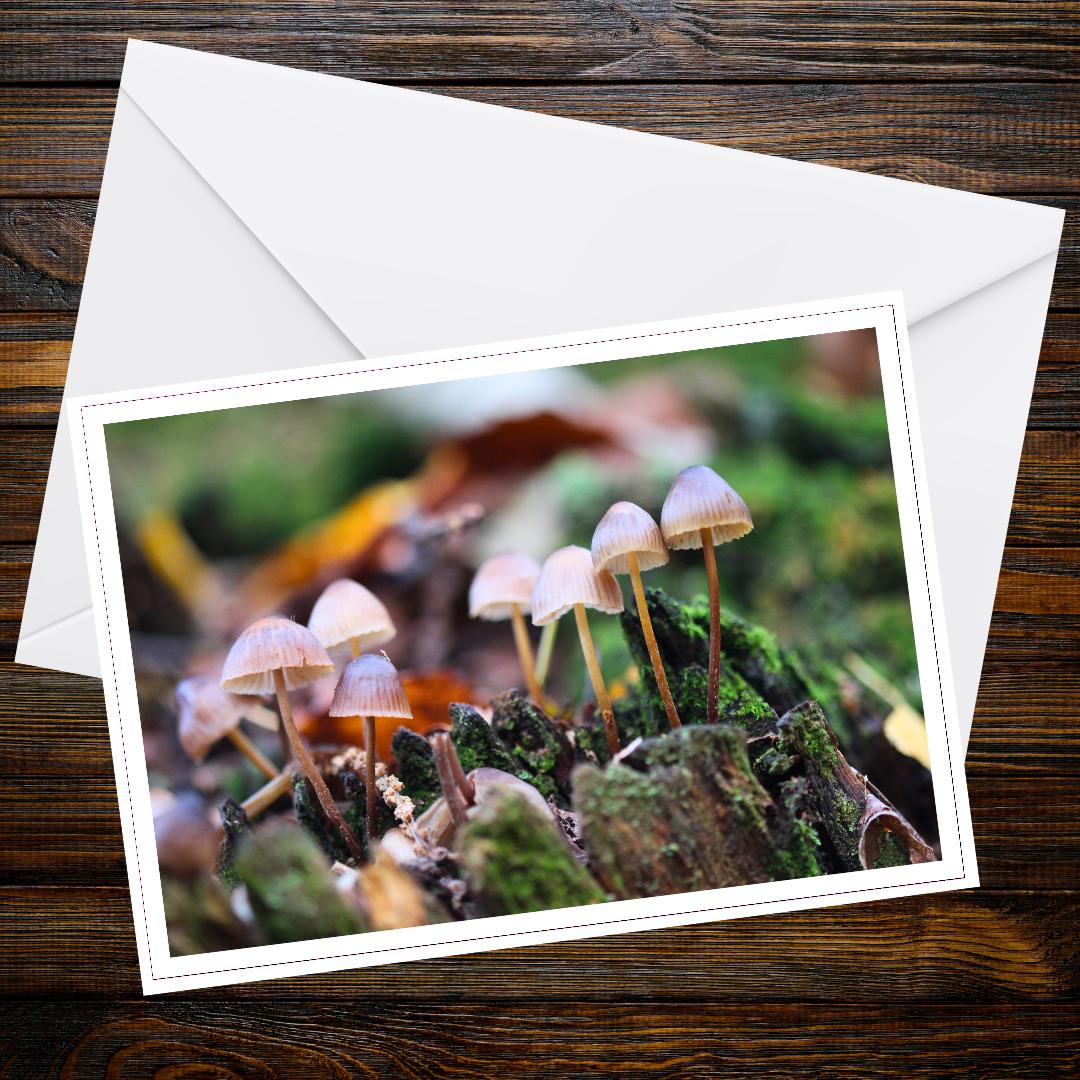 Fairy bonnet greeting card | Botanical mushroom art | Woodland fungi illustration | Nature-inspired stationery for mushroom lovers