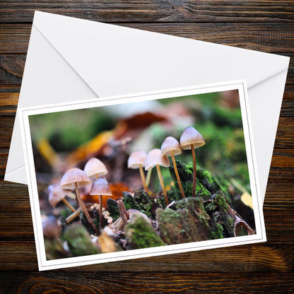 Fairy bonnet greeting card | Botanical mushroom art | Woodland fungi illustration | Nature-inspired stationery for mushroom lovers