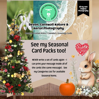 The image is a collage of various seasonal items, including a Christmas tree, a rabbit, flowers, and a pumpkin, along with text promoting Devon, Cornwall, and Aerial Photography.