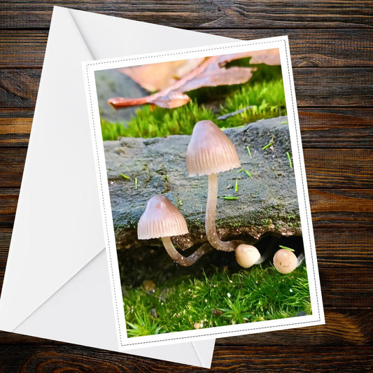 Common Bonnet Fungi Greeting Card | Woodland Mushrooms Nature Card | Botanical Forest Illustration | FSC Certified Handmade Card