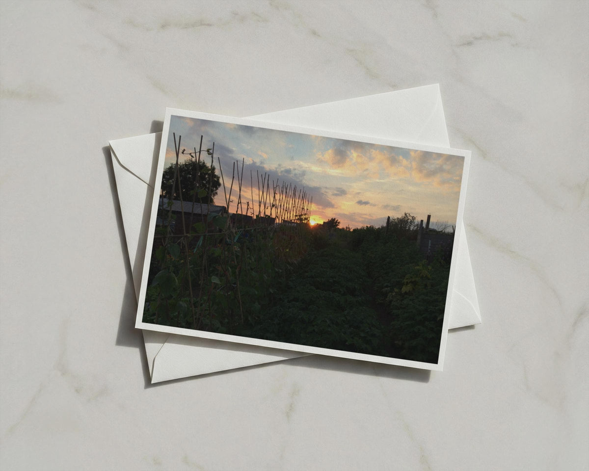 Allotment Sunset Card, Grow Your Own Garden Dusk Sky, Nature Lover Gift A6