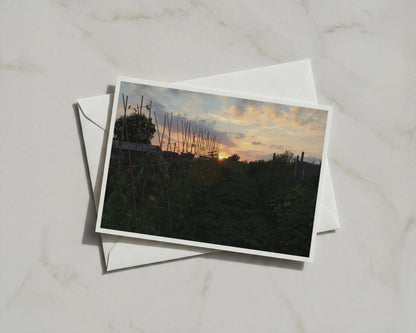 Allotment Sunset Card, Grow Your Own Garden Dusk Sky, Nature Lover Gift A6