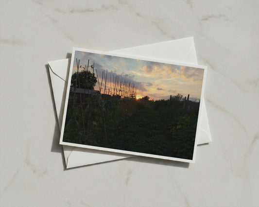 Allotment Sunset Card, Grow Your Own Garden Dusk Sky, Nature Lover Gift A6