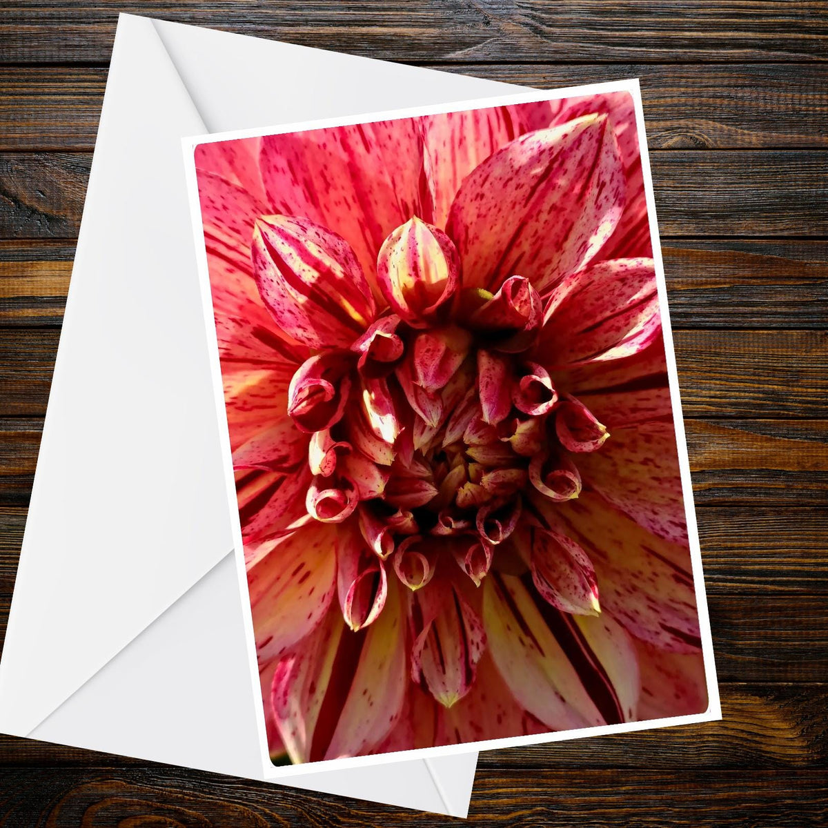Dahlia Coral Peach Pink Striped Macro Greeting Card - Summer Flower Collection