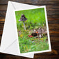 Shaggy Inkcap Fungi Greeting Card, Nature Mushroom Card, Woodland Botanical Art, Forest Wildlife, Eco-Friendly FSC Certified Card