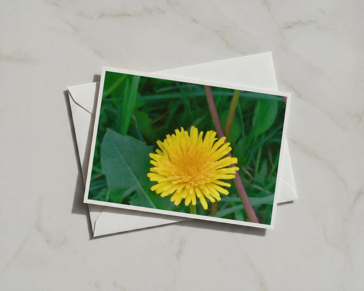 Dandelion Flower Card, Yellow Wildflower A6 Greeting Card, Nature Garden Card