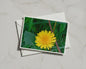 Dandelion Flower Card, Yellow Wildflower A6 Greeting Card, Nature Garden Card