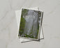 Woodland Water Fountain Card, Trees and Mist Nature Photography, Green Forest A6 Card