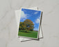 Autumn Tree Greeting Card, Seasonal Nature Card, Blue Sky Green Park, A6 Card