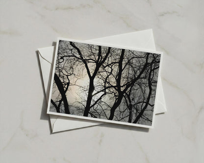 Winter Tree Silhouette Poster, Bare Branches Against Sky, Moody Nature Framed-Print, Black Grey Wall Art, Forest Landscape Photography Print