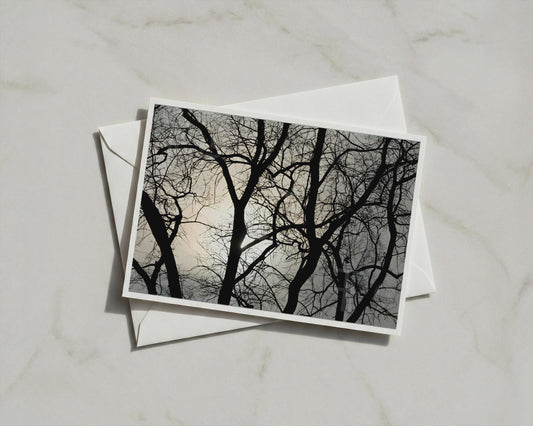 Winter Tree Silhouette Poster, Bare Branches Against Sky, Moody Nature Framed-Print, Black Grey Wall Art, Forest Landscape Photography Print