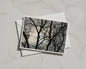 Winter Tree Silhouette Poster, Bare Branches Against Sky, Moody Nature Framed-Print, Black Grey Wall Art, Forest Landscape Photography Print