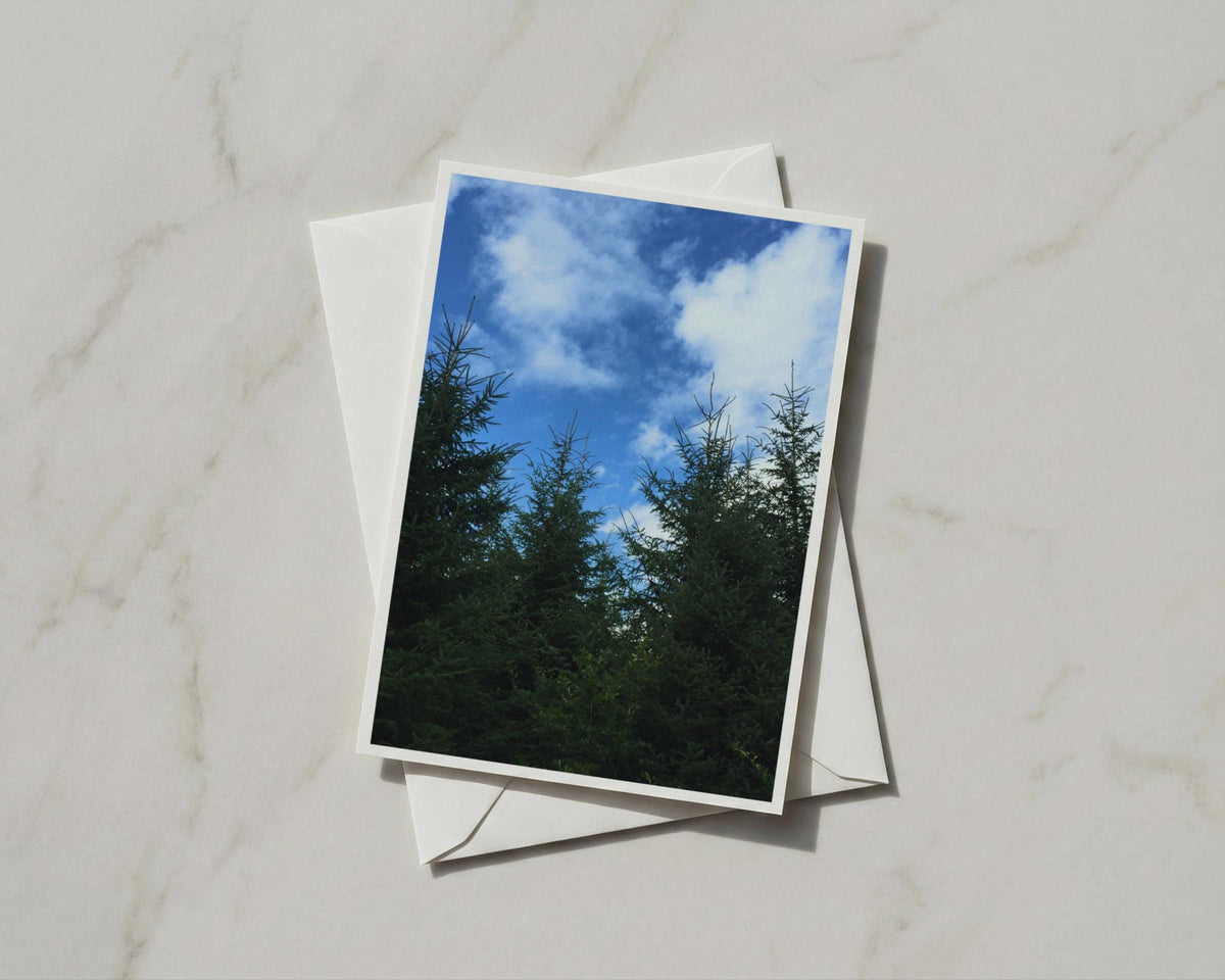 Pine Trees Blue Sky Card, Evergreen Forest Nature Greeting Card, Woodland