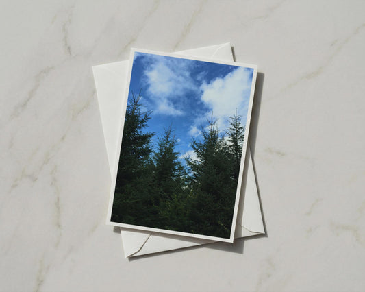 Pine Trees Blue Sky Card, Evergreen Forest Nature Greeting Card, Woodland