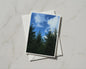 Pine Trees Blue Sky Card, Evergreen Forest Nature Greeting Card, Woodland
