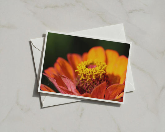 Orange Zinnia Flower Card, Macro Floral A6 Card, Bold Botanical Greeting Card, Summer Garden