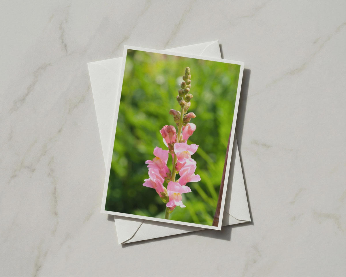 Pink Snapdragon Flower Card, Garden Floral A6 Greeting Card, Botanical Summer Bloom