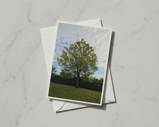 Autumn Tree Greetings Card, Nature Photography Card, Green Tree Sky, A6 Card