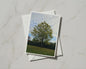 Autumn Tree Greetings Card, Nature Photography Card, Green Tree Sky, A6 Card