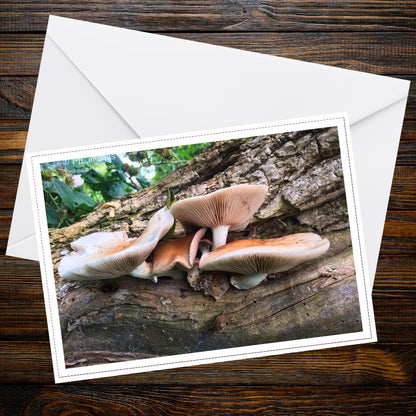 Oyster Mushroom Fungi Greeting Card | Woodland Scene Botanical Photo | Eco-Friendly Handmade Nature Art | Wild Mushroom Gift