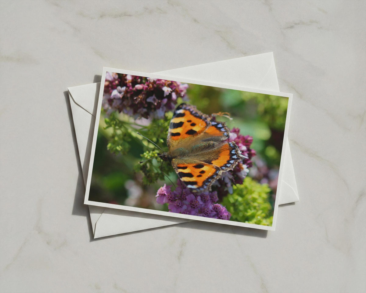 Small Tortoiseshell Butterfly Card, Wildlife Garden Nature A6 Greeting Card