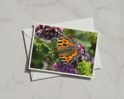 Small Tortoiseshell Butterfly Card, Wildlife Garden Nature A6 Greeting Card