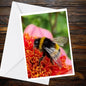 Bumblebee Dahlia Greeting Card, Bee Photography, Blank A6 Matte Nature Card