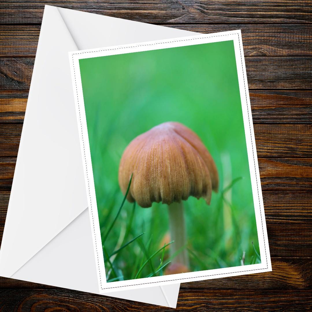Pleated Inkcap Fungi Greeting Card | Botanical Woodland Nature Card | Mushrooms, Mycology, All Occasion, FSC Certified Paper
