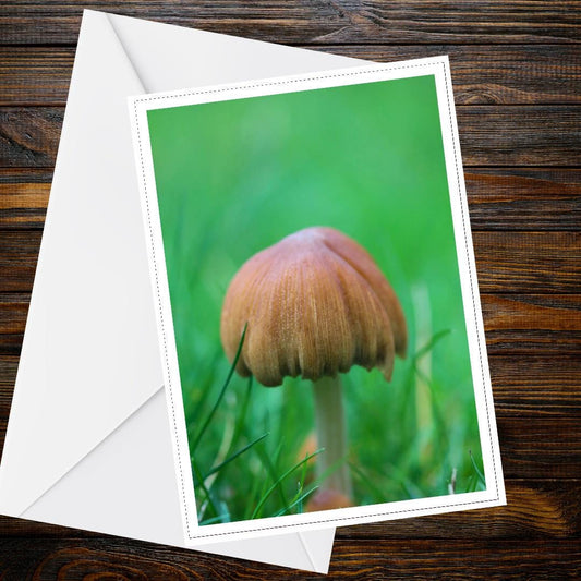 Pleated Inkcap Fungi Greeting Card | Botanical Woodland Nature Card | Mushrooms, Mycology, All Occasion, FSC Certified Paper
