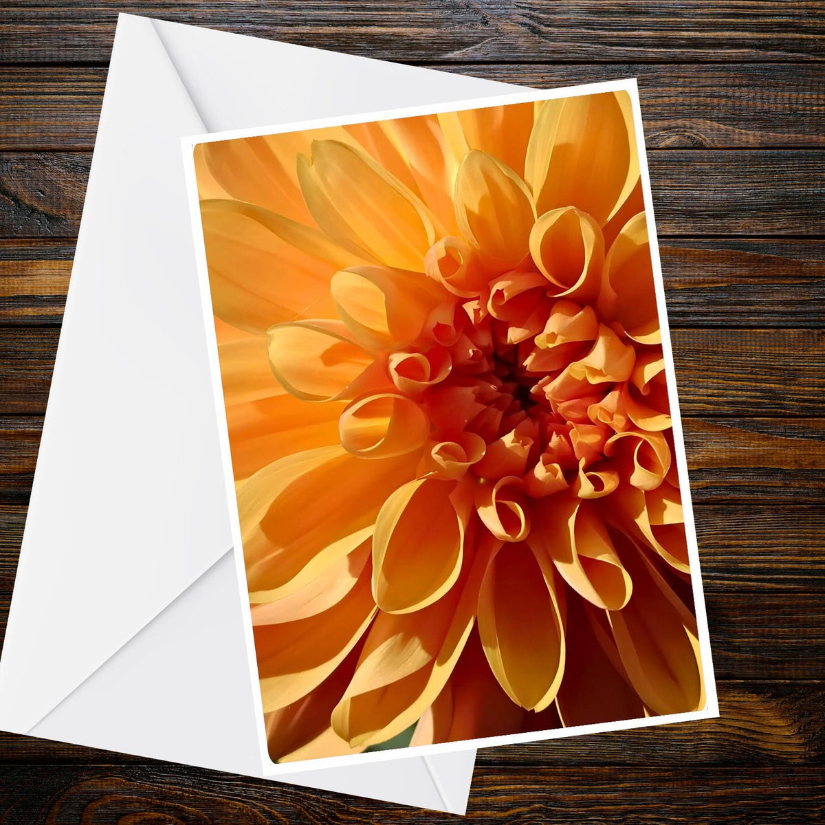 Dahlia Deep Burgundy & Wine Red Greeting Card - A6 Summer Flower Collection