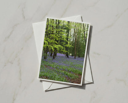 Bluebell Wood Card, Spring Forest Nature Photography, A6 Greeting Card with Envelope