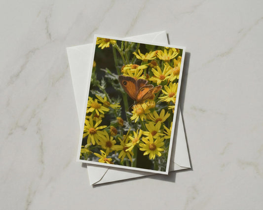 Gatekeeper Butterfly Card, Orange Butterfly on Yellow Flowers, Wildlife Nature A6 Card