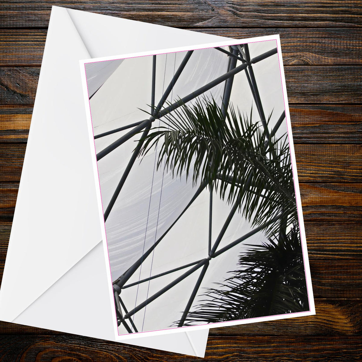 A6 Greetings Card – Palm Fronds Eden Project Dome Canopy Photo