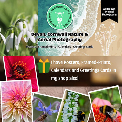 The image is a collage of various nature-themed photographs, including flowers, plants, and insects, along with text promoting aerial photography and greeting cards.