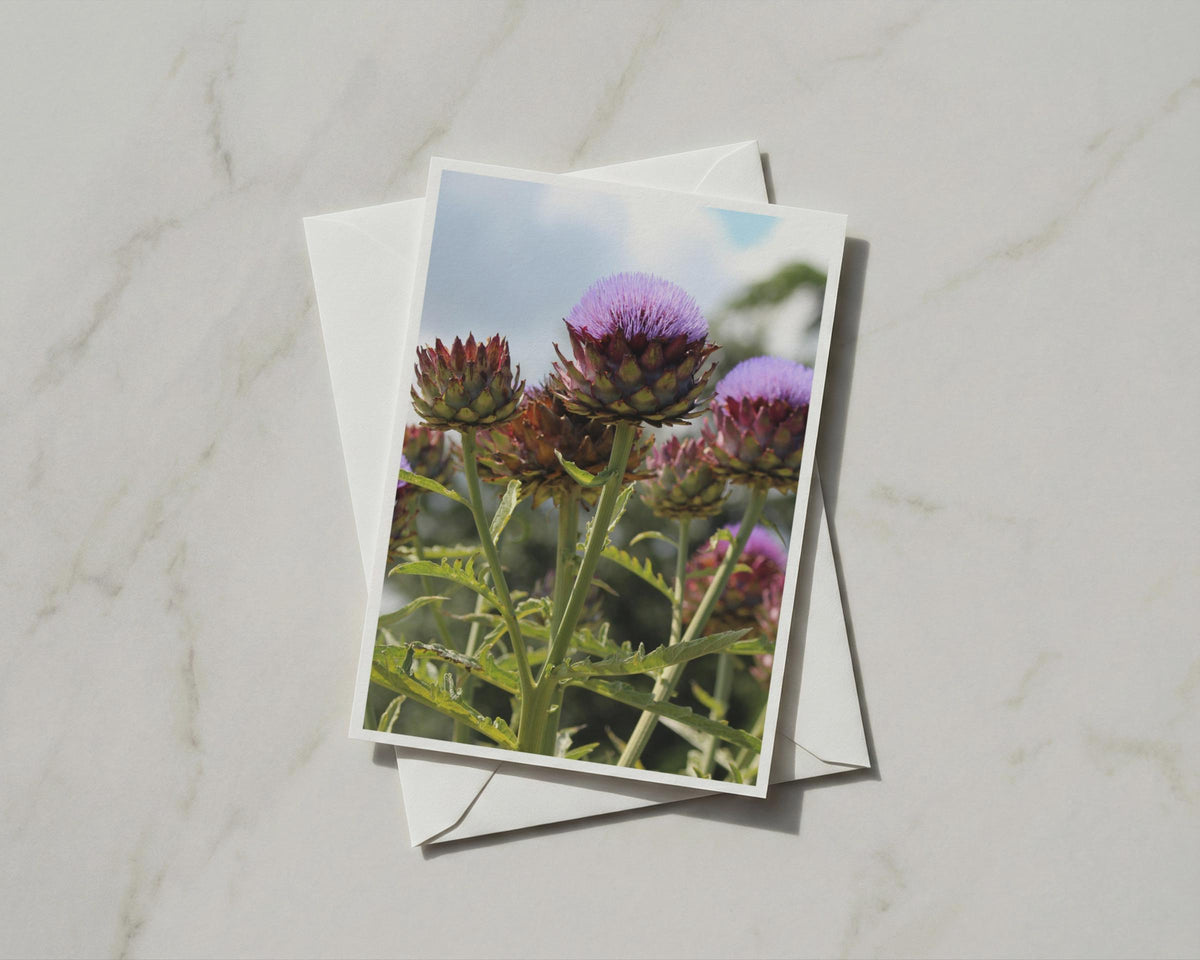 Artichoke Flower Card, Purple Botanical Garden Card, Blank A6 Card with Envelope, Vegetable