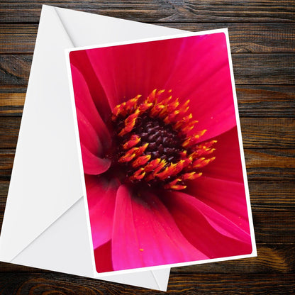 Dahlia Crimson Red Greeting Card - Summer Flower Collection (Vivid Close-Up)