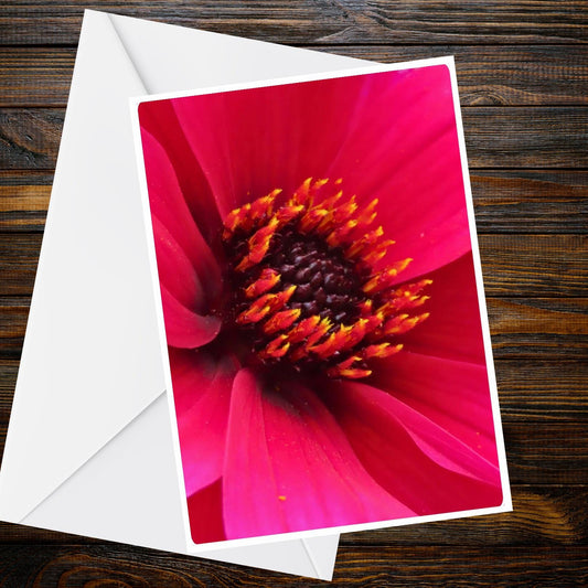 Dahlia Crimson Red Greeting Card - Summer Flower Collection (Vivid Close-Up)