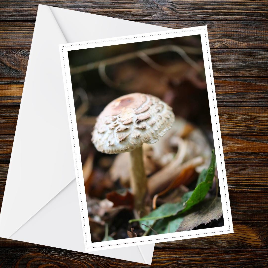 Parasol Mushroom Fungi Greeting Card, Woodland Nature Botanical Card, Mycology Wildlife Handmade All Occasion Card