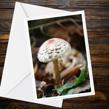 Parasol Mushroom Fungi Greeting Card, Woodland Nature Botanical Card, Mycology Wildlife Handmade All Occasion Card