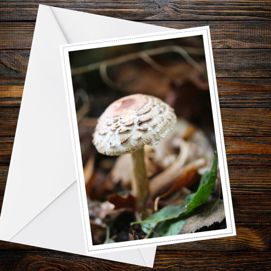 Parasol Mushroom Fungi Greeting Card, Woodland Nature Botanical Card, Mycology Wildlife Handmade All Occasion Card