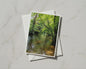Woodland River Card, Lush Green Trees Nature Photography, A6 Greeting Card