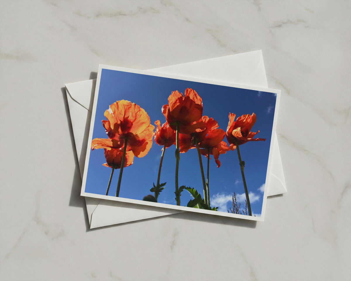 Red Poppy Flower Card, Orange Poppies Blue Sky, Summer Floral Greeting Card A6